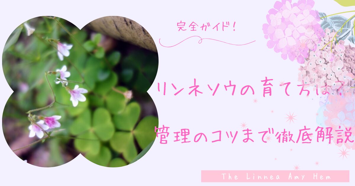 リンネソウの育て方完全ガイド！栽培環境・水やり・管理のコツを徹底解説